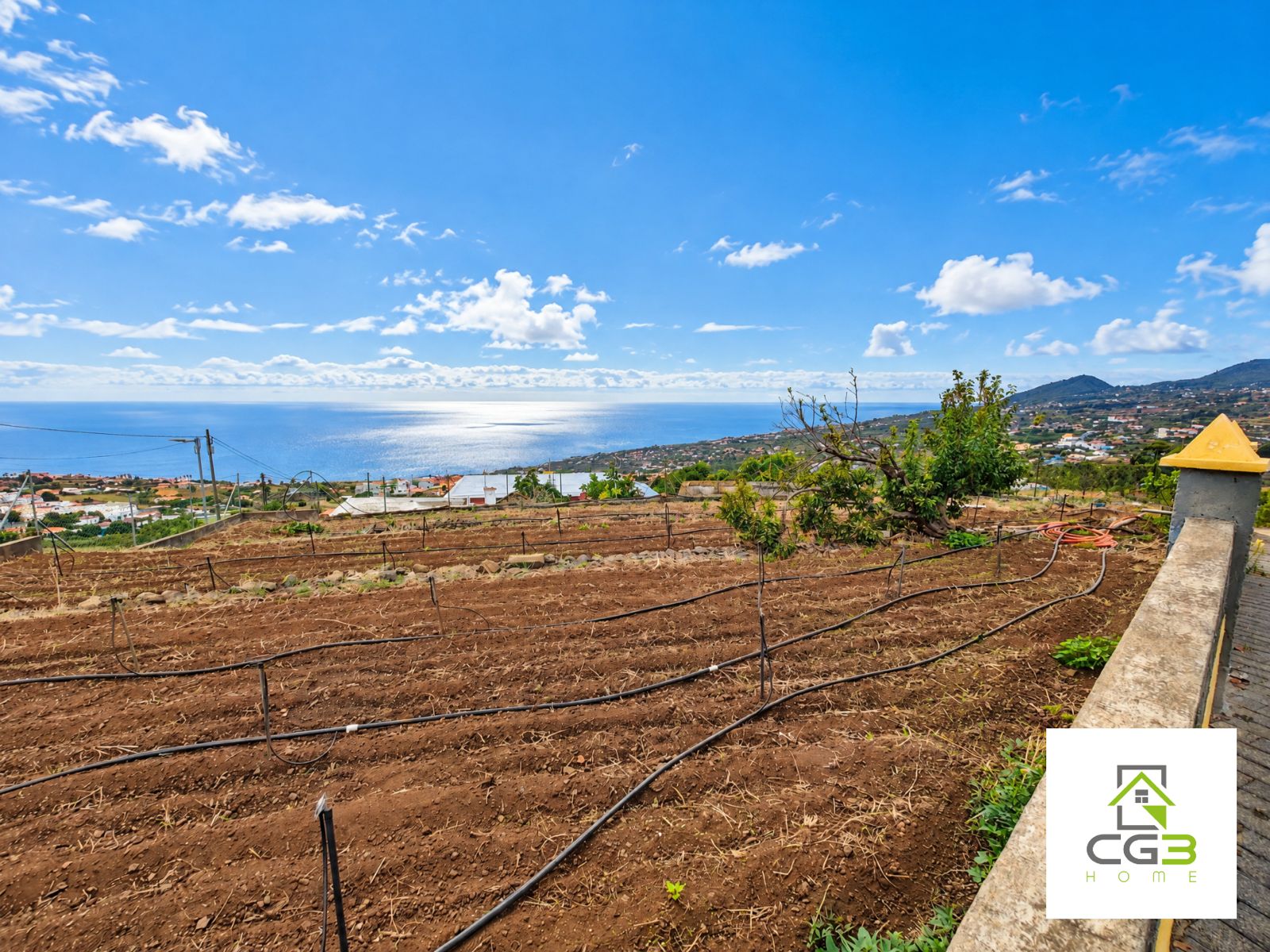Finca Breña Alta, La Palma — foto 2