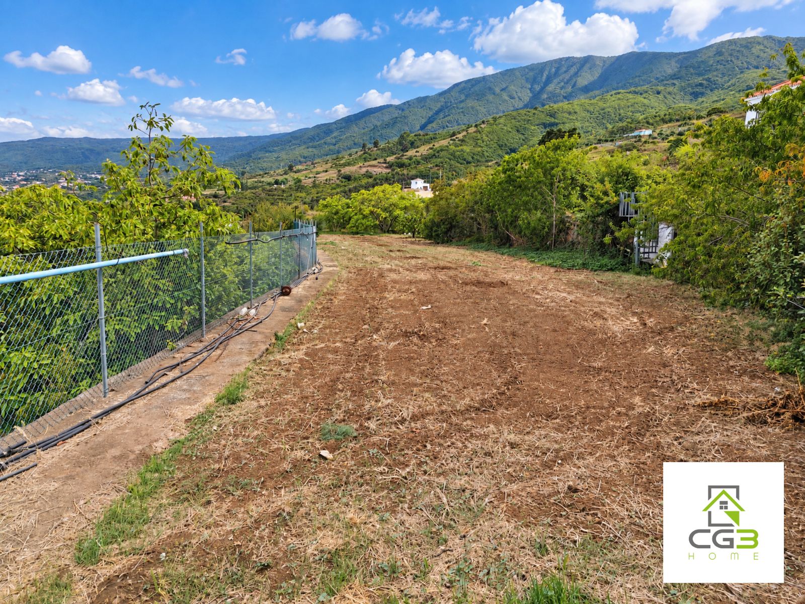 Finca Breña Alta, La Palma — foto 3