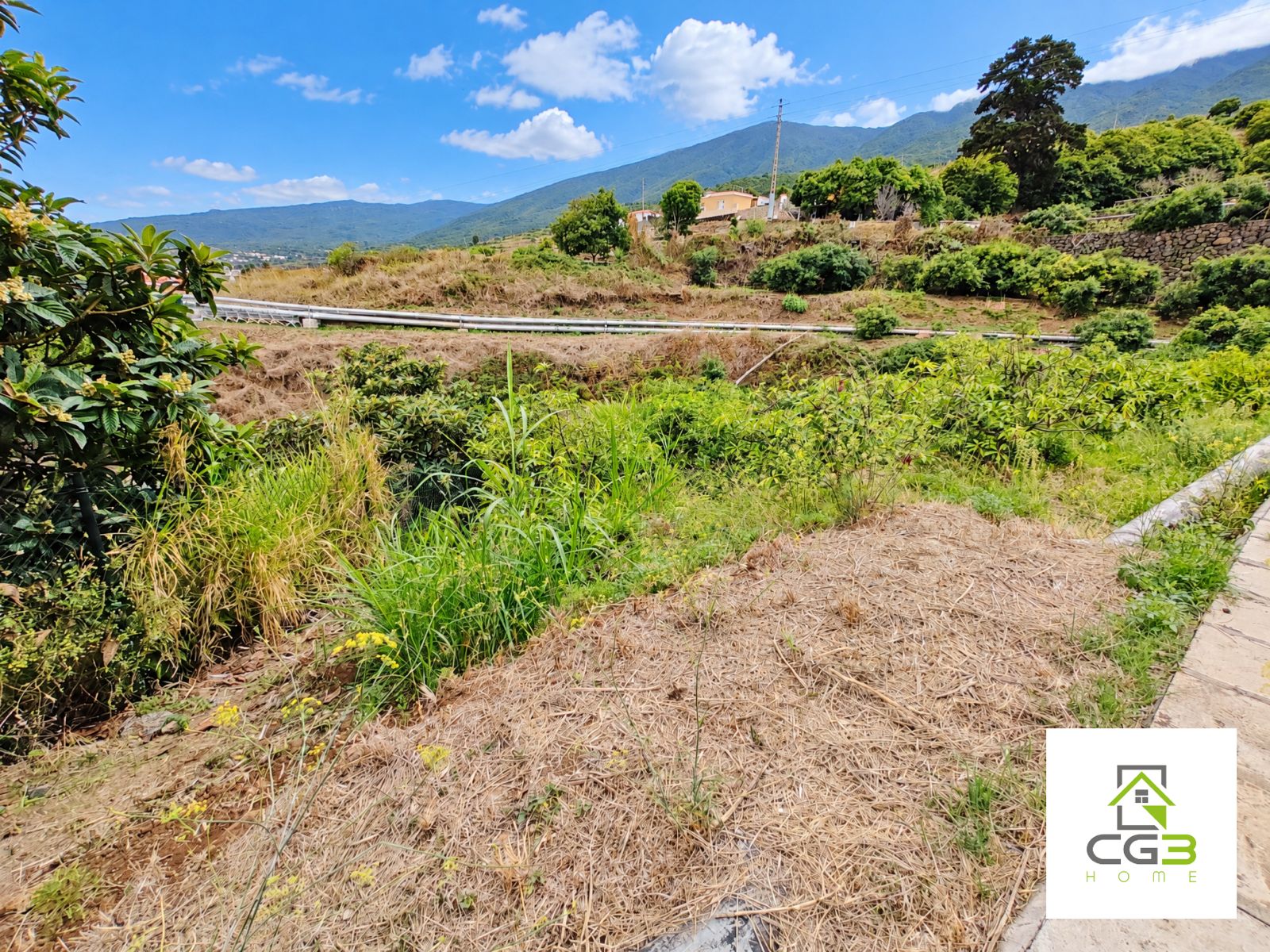 Finca Breña Alta, La Palma — foto 4