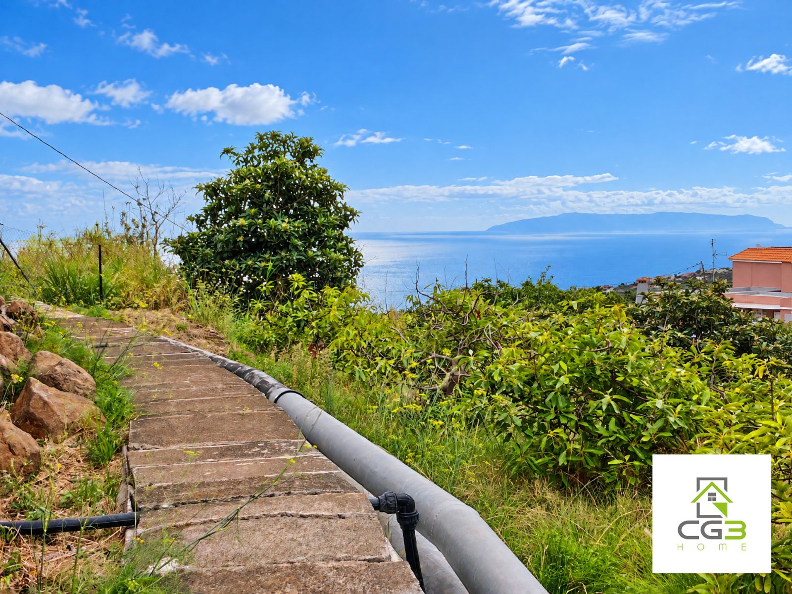 Finca Breña Alta, La Palma — foto 5