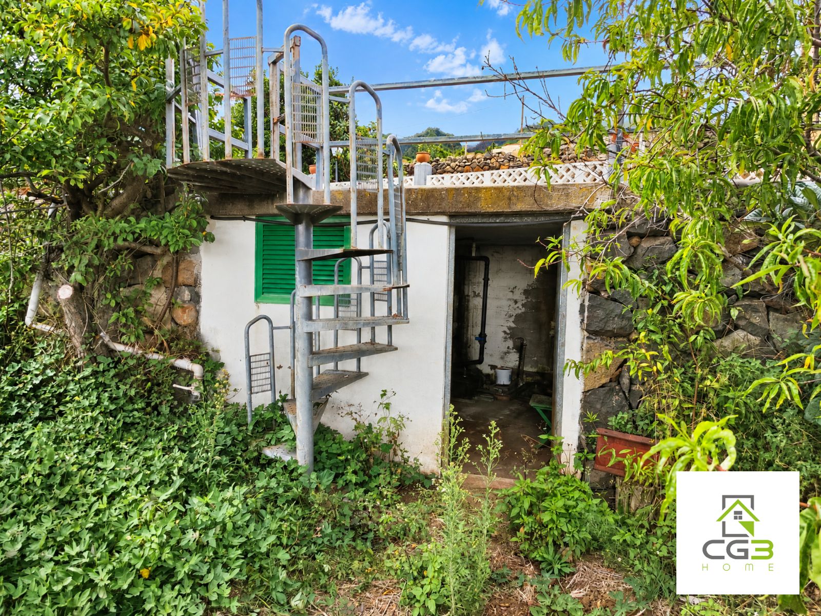 Finca Breña Alta, La Palma — foto 9